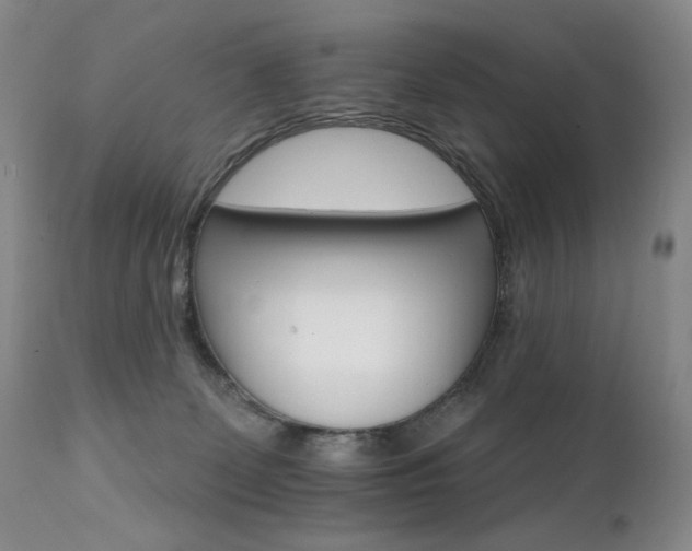 X0000111510131200907141346