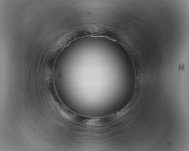X0000111510132200907141346