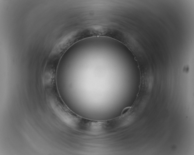X0000111510134200907141346