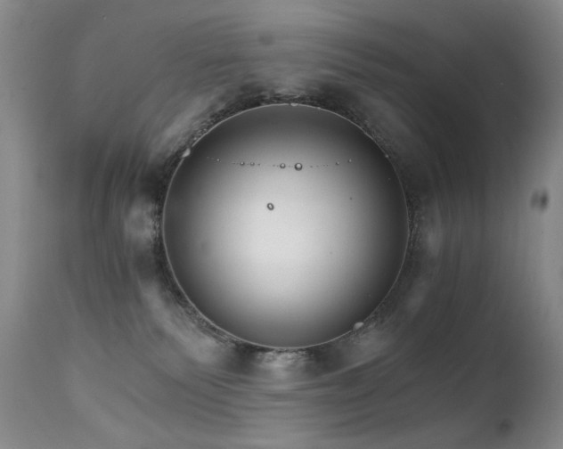 X0000111510135200907141345