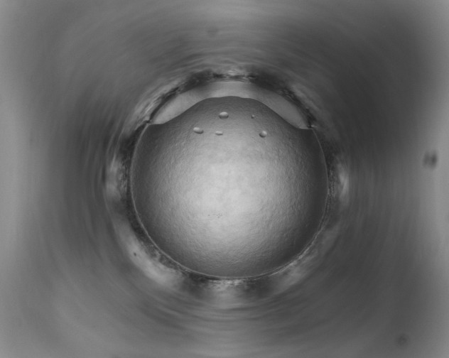 X0000111510136200907141345