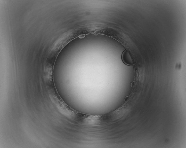 X0000111510138200907141345