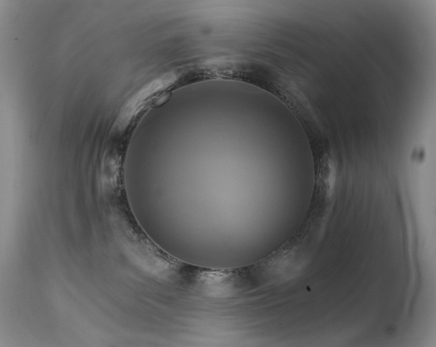 X0000111510139200907141345