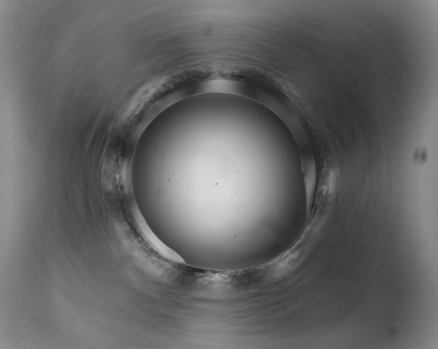 X0000111510140200907141345