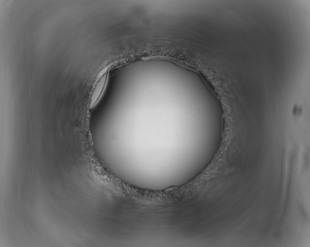 X0000111510144200907141345