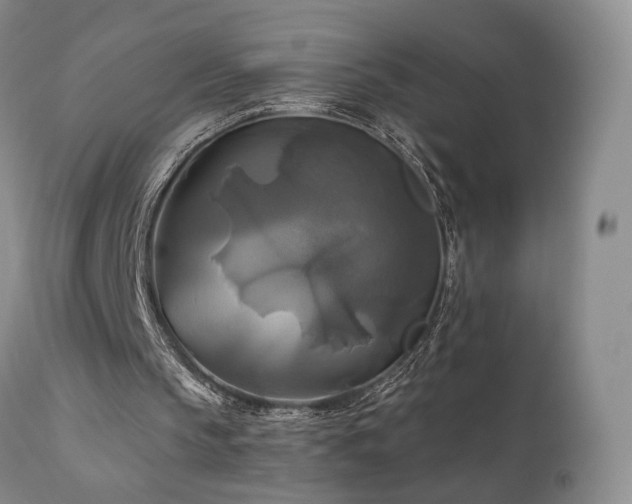 X0000111510145200907141345