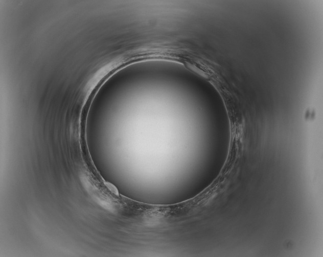 X0000111510148200907141345
