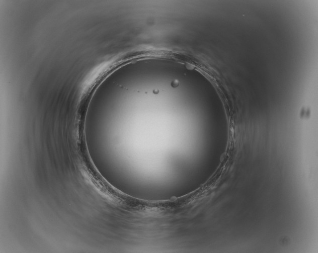 X0000111510149200907141345