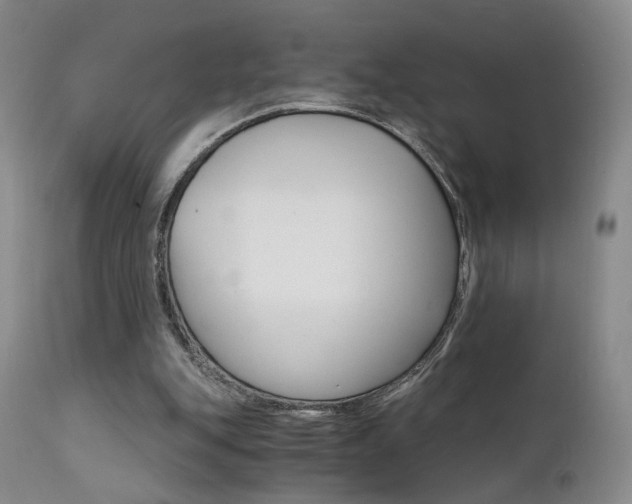 X0000111510151200907141345