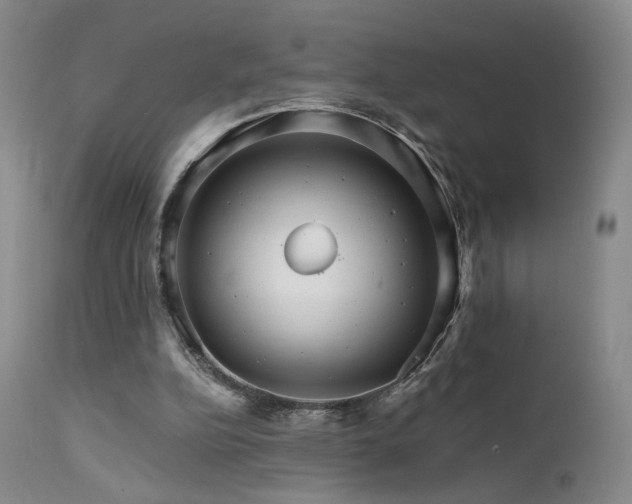 X0000111510152200907141345