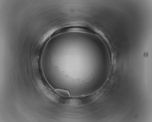 X0000111510154200907141345