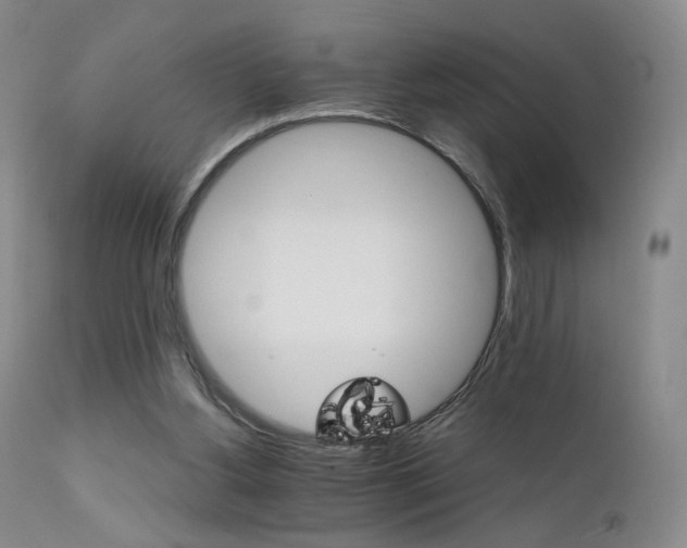 X0000111510156200907141345