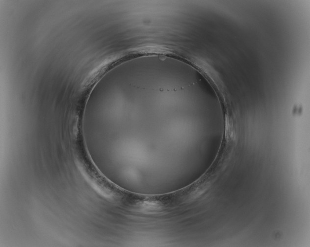 X0000111510157200907141345
