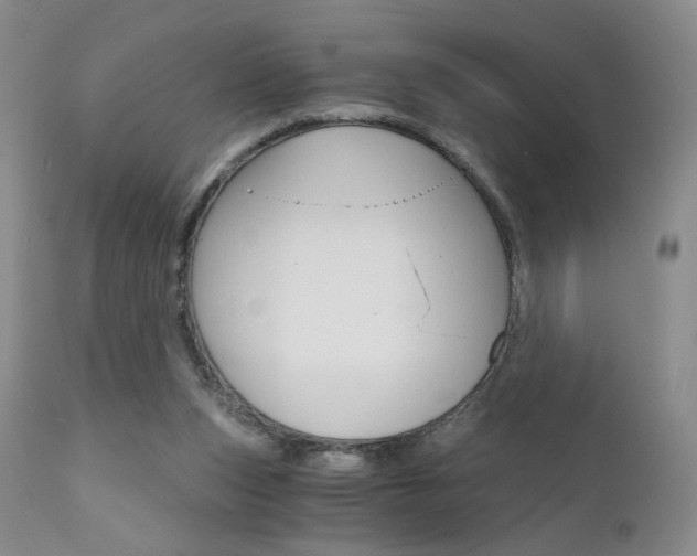 X0000111510159200907141345