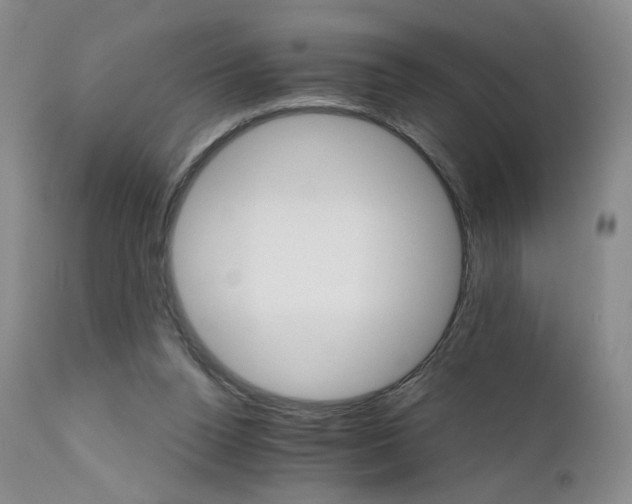 X0000111510160200907141345