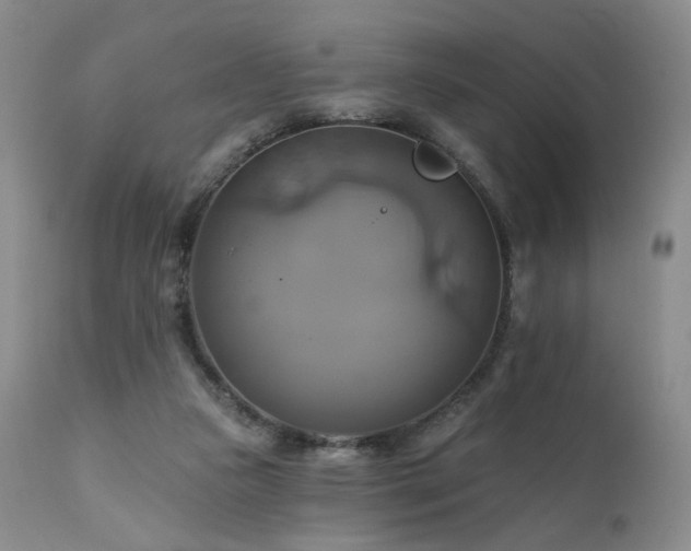 X0000111510161200907141345