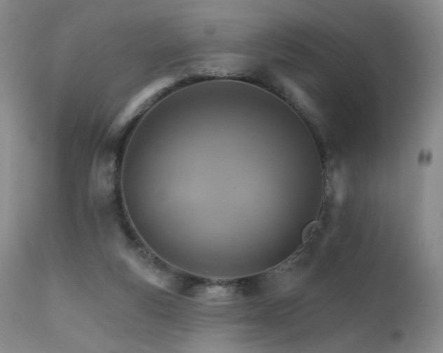 X0000111510163200907141345