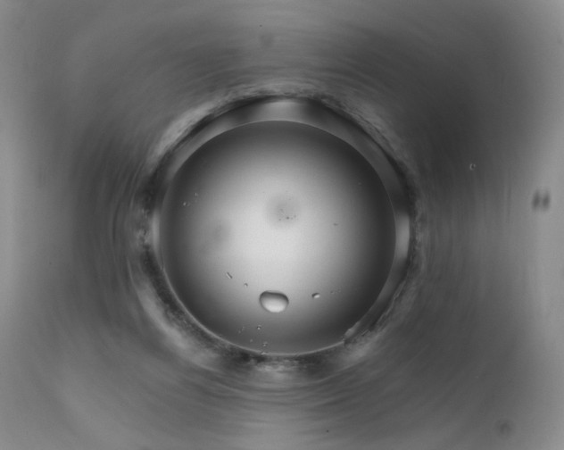 X0000111510164200907141345