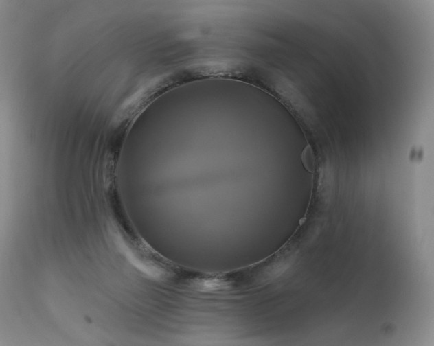 X0000111510165200907141345