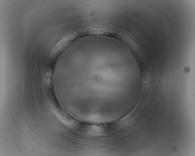 X0000111510166200907141345