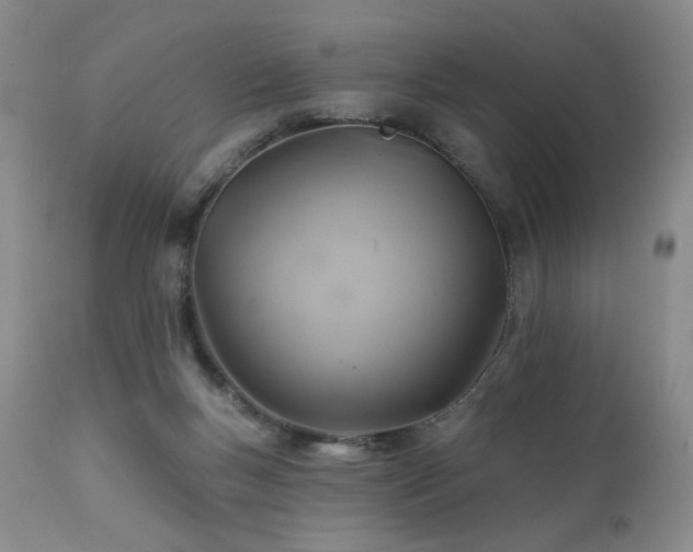 X0000111510167200907141345