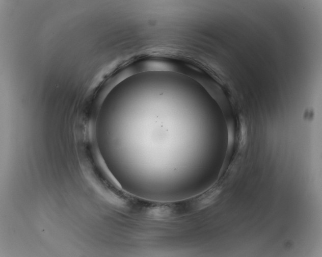 X0000111510168200907141345