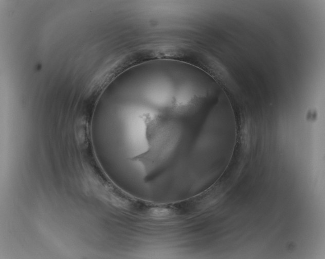 X0000111510169200907141345