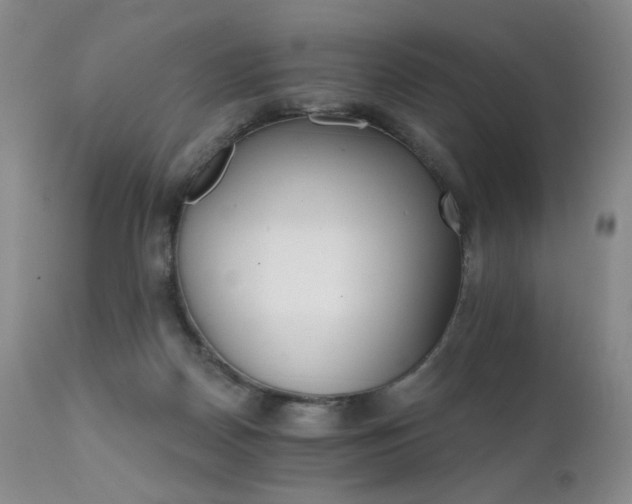 X0000111510170200907141345