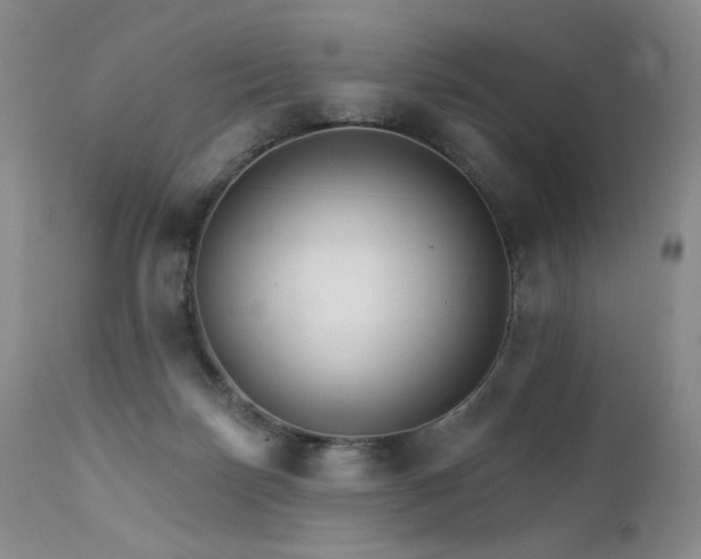 X0000111510171200907141345