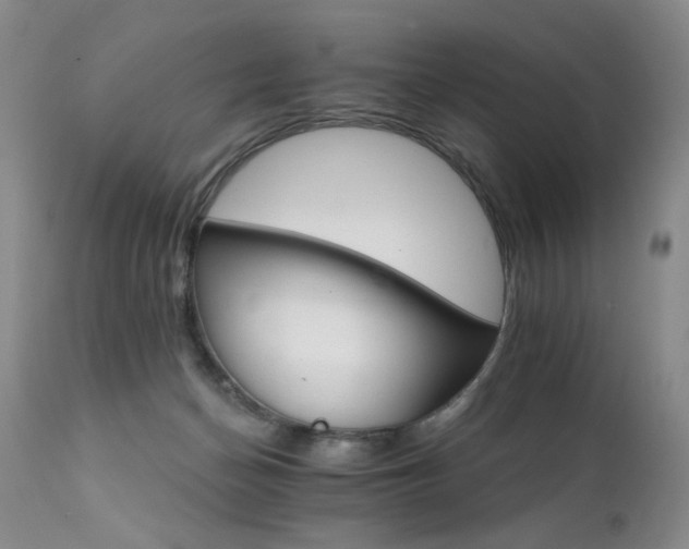 X0000111510174200907141345