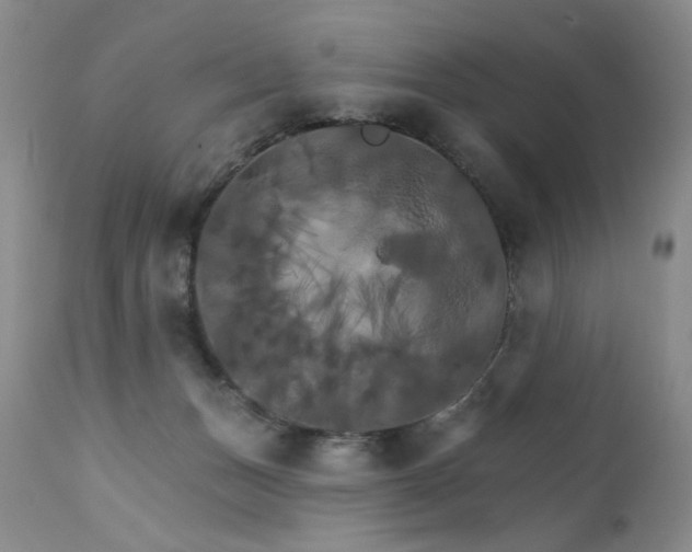 X0000111510175200907141345