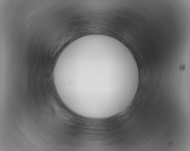 X0000111510176200907141345