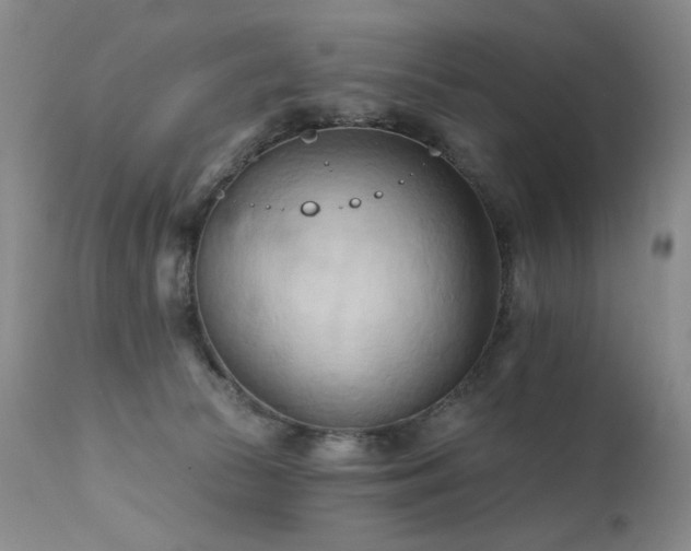 X0000111510177200907141345
