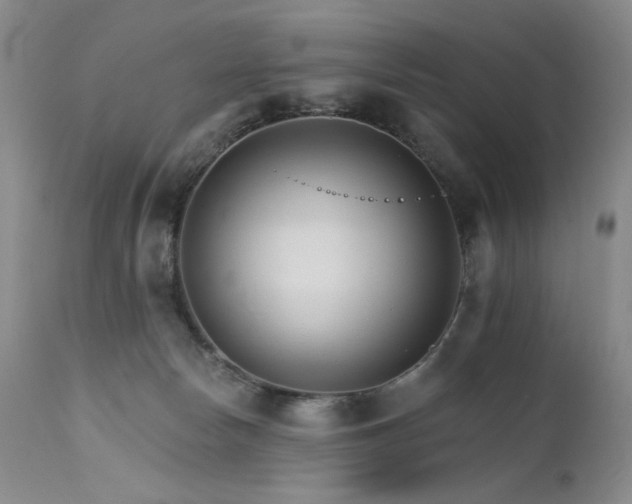 X0000111510178200907141345
