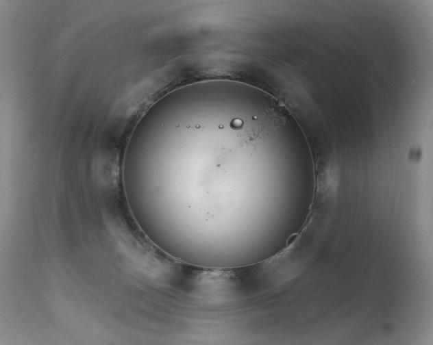 X0000111510179200907141345