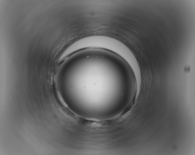 X0000111510180200907141345