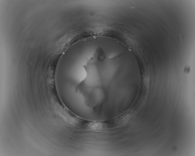 X0000111510181200907141345