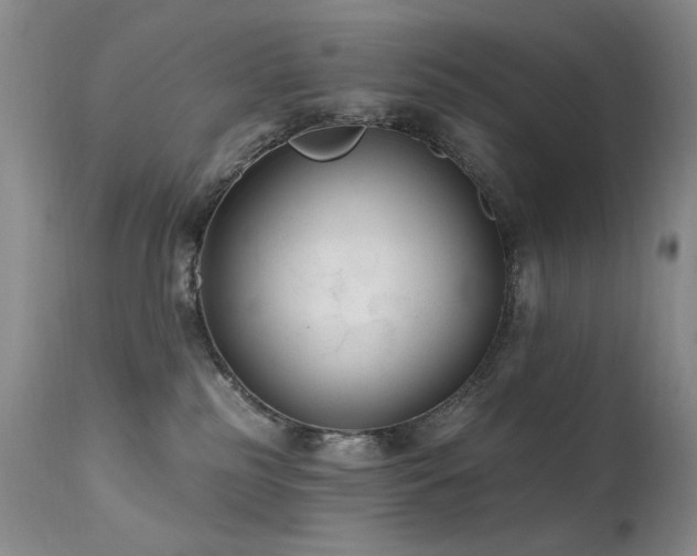 X0000111510185200907141345