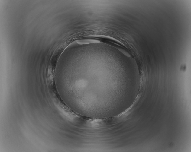 X0000111510186200907141345