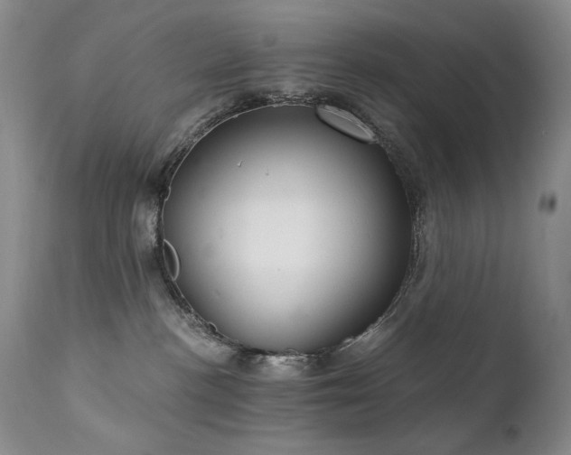 X0000111510188200907141345