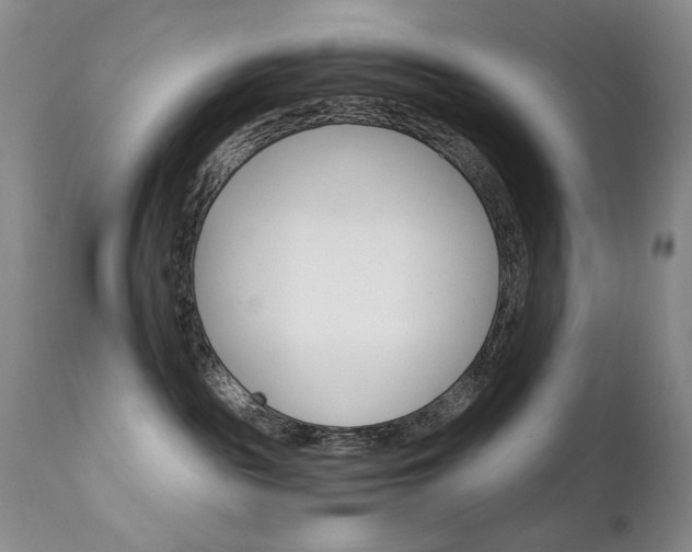 X0000111510189200907141345