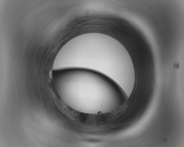 X0000111510190200907141345