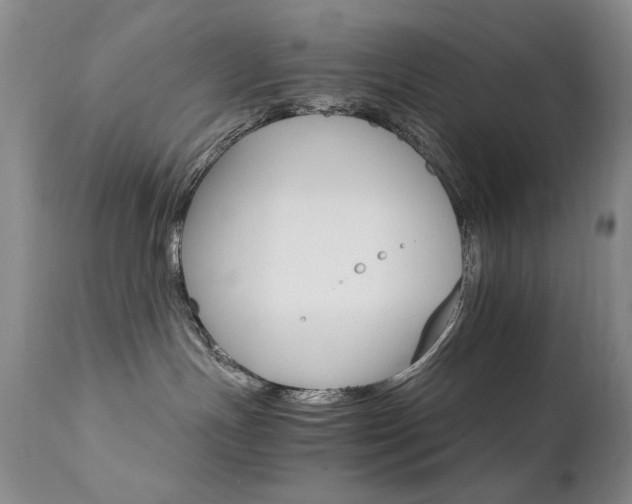 X0000111510191200907141345