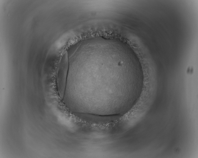 X0000111510192200907141345