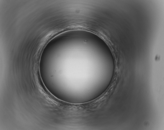 X0000111510193200907141345