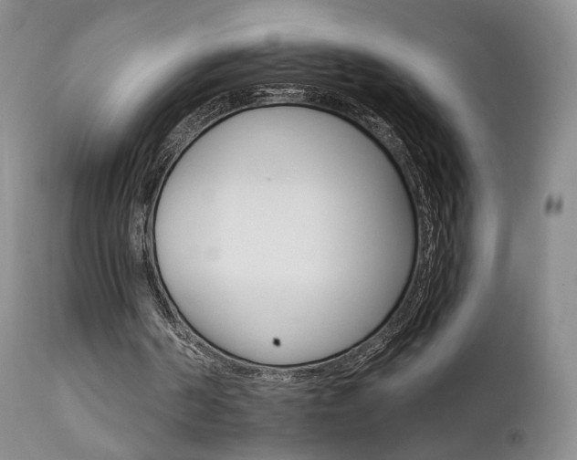 X0000111510194200907141345