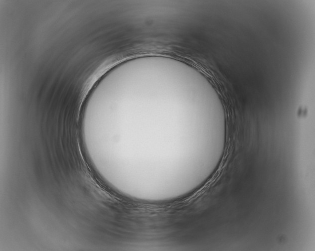 X0000111510195200907141344