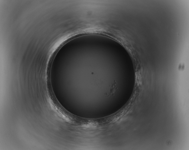 X0000111510196200907141344