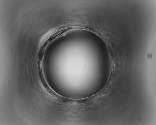 X0000111510197200907141344