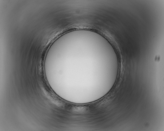 X0000111510202200907141344